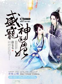 盛宠王妃小说