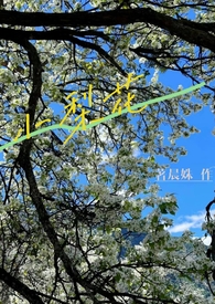 小梨花的养殖方法